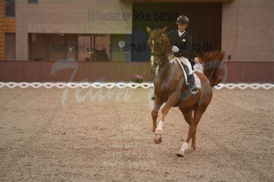 Dansk Rideforbunds Championats finaler 2019 dressur
Dansk Rideforbunds Championats finaler 2018
7 års
Nøgleord: vichy pax;joachim chr thomsen