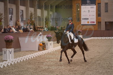 Dansk Rideforbunds Championats finaler 2019 dressur
Dansk Rideforbunds Championats finaler 2018
7 års
Nøgleord: icing for you;meike lang