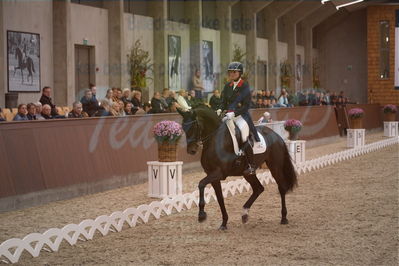 Dansk Rideforbunds Championats finaler 2019 dressur
Dansk Rideforbunds Championats finaler 2018
7 års
Nøgleord: icing for you;meike lang