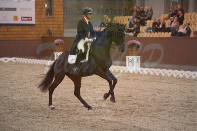 Dansk Rideforbunds Championats finaler 2019 dressur
Dansk Rideforbunds Championats finaler 2018
7 års
Nøgleord: icing for you;meike lang