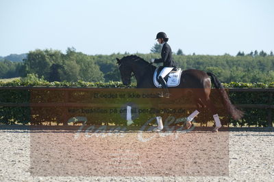 Blue Hors Dressuchampionat 2019 4års
Billeder fra stævnet
