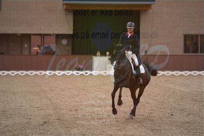 Dansk Rideforbunds Championats finaler 2019 dressur
Dansk Rideforbunds Championats finaler 2018
7 års
Nøgleord: icing for you;meike lang