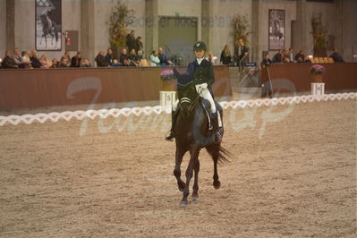 Dansk Rideforbunds Championats finaler 2019 dressur
Dansk Rideforbunds Championats finaler 2018
7 års
Nøgleord: fürsten-flame;anne sofie aaen