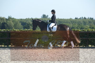 Blue Hors Dressuchampionat 2019 4års
Billeder fra stævnet
