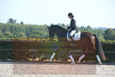 Blue Hors Dressuchampionat 2019 4års
Billeder fra stævnet
Nøgleord: zamir;tanja rusovic