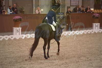 Dansk Rideforbunds Championats finaler 2019 dressur
Dansk Rideforbunds Championats finaler 2018
7 års
Nøgleord: fürsten-flame;anne sofie aaen