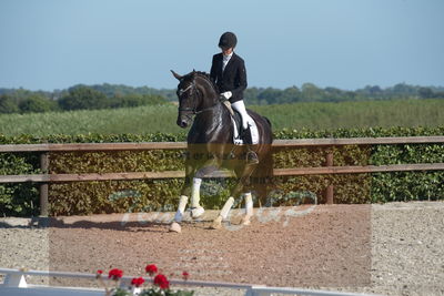 Blue Hors Dressuchampionat 2019 4års
Billeder fra stævnet
Nøgleord: zamir;tanja rusovic