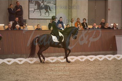 Dansk Rideforbunds Championats finaler 2019 dressur
Dansk Rideforbunds Championats finaler 2018
7 års
Nøgleord: uno don olympic;anna zibrandtsen