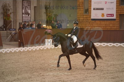 Dansk Rideforbunds Championats finaler 2019 dressur
Dansk Rideforbunds Championats finaler 2018
7 års
Nøgleord: uno don olympic;anna zibrandtsen