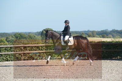 Blue Hors Dressuchampionat 2019 4års
Billeder fra stævnet
Nøgleord: evo shubidoo;betina laisbo