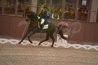 Dansk Rideforbunds Championats finaler 2019 dressur
Dansk Rideforbunds Championats finaler 2018
7 års
Nøgleord: uno don olympic;anna zibrandtsen