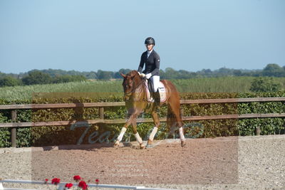 Blue Hors Dressuchampionat 2019 4års
Billeder fra stævnet
Nøgleord: peggy sue nexen;sunnova harneshaug