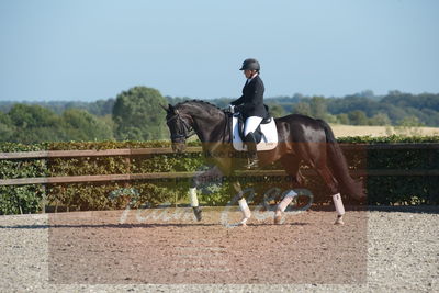 Blue Hors Dressuchampionat 2019 4års
Billeder fra stævnet
Nøgleord: evo shubidoo;betina laisbo