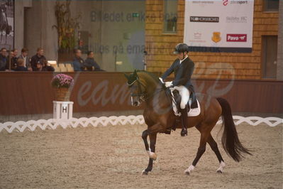 Dansk Rideforbunds Championats finaler 2019 dressur
Dansk Rideforbunds Championats finaler 2018
7 års
Nøgleord: hesselhøj donkey boy;jan møller christensen
