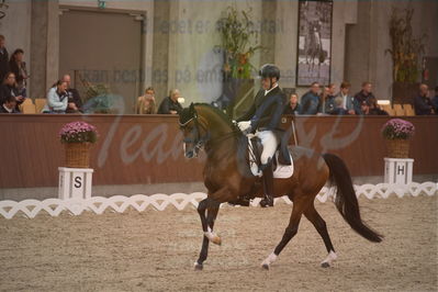 Dansk Rideforbunds Championats finaler 2019 dressur
Dansk Rideforbunds Championats finaler 2018
7 års
Nøgleord: hesselhøj donkey boy;jan møller christensen