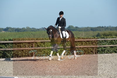 Blue Hors Dressuchampionat 2019 4års
Billeder fra stævnet
Nøgleord: spåbæk's fazination;peter veller