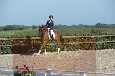 Blue Hors Dressuchampionat 2019 4års
Billeder fra stævnet
Nøgleord: peggy sue nexen;sunnova harneshaug