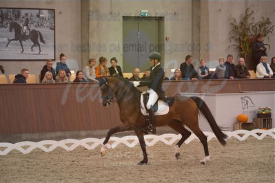 Dansk Rideforbunds Championats finaler 2019 dressur
Dansk Rideforbunds Championats finaler 2018
7 års
Nøgleord: hesselhøj donkey boy;jan møller christensen