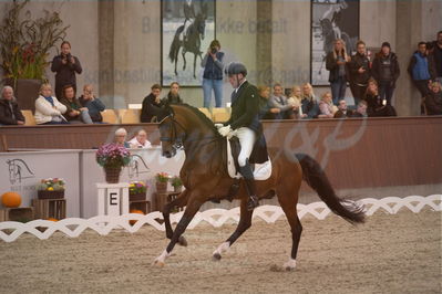Dansk Rideforbunds Championats finaler 2019 dressur
Dansk Rideforbunds Championats finaler 2018
7 års
Nøgleord: hesselhøj donkey boy;jan møller christensen