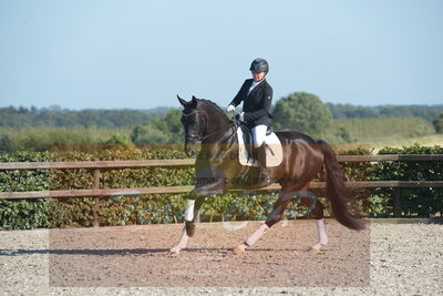 Blue Hors Dressuchampionat 2019 4års
Billeder fra stævnet
Nøgleord: evo shubidoo;betina laisbo