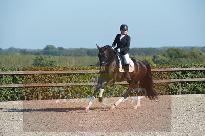 Blue Hors Dressuchampionat 2019 4års
Billeder fra stævnet
Nøgleord: evo shubidoo;betina laisbo