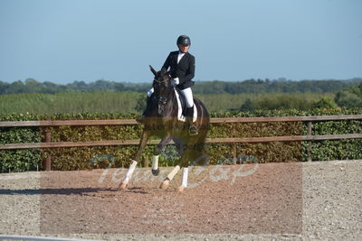 Blue Hors Dressuchampionat 2019 4års
Billeder fra stævnet
Nøgleord: evo shubidoo;betina laisbo