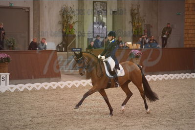 Dansk Rideforbunds Championats finaler 2019 dressur
Dansk Rideforbunds Championats finaler 2018
7 års
Nøgleord: blue hors zalabastar;emma skodborg merrald