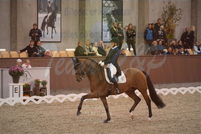 Dansk Rideforbunds Championats finaler 2019 dressur
Dansk Rideforbunds Championats finaler 2018
7 års
Nøgleord: blue hors zalabastar;emma skodborg merrald