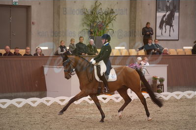 Dansk Rideforbunds Championats finaler 2019 dressur
Dansk Rideforbunds Championats finaler 2018
7 års
Nøgleord: blue hors zalabastar;emma skodborg merrald