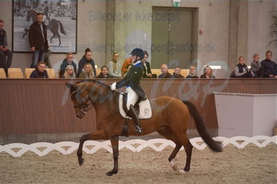 Dansk Rideforbunds Championats finaler 2019 dressur
Dansk Rideforbunds Championats finaler 2018
7 års
Nøgleord: blue hors zalabastar;emma skodborg merrald