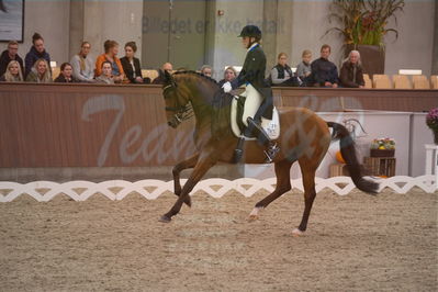 Dansk Rideforbunds Championats finaler 2019 dressur
Dansk Rideforbunds Championats finaler 2018
7 års
Nøgleord: blue hors zalabastar;emma skodborg merrald