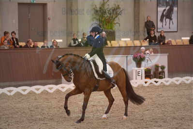 Dansk Rideforbunds Championats finaler 2019 dressur
Dansk Rideforbunds Championats finaler 2018
7 års
Nøgleord: blue hors zalabastar;emma skodborg merrald