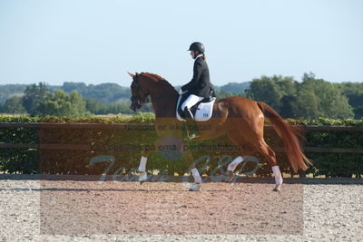 Blue Hors Dressuchampionat 2019 4års
Billeder fra stævnet
Nøgleord: kadri;sandra reinhard