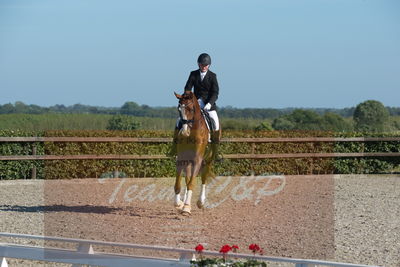 Blue Hors Dressuchampionat 2019 4års
Billeder fra stævnet
Nøgleord: kadri;sandra reinhard