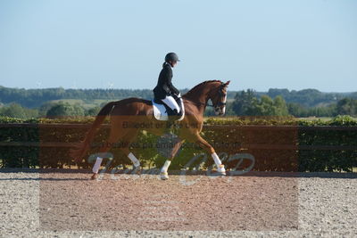 Blue Hors Dressuchampionat 2019 4års
Billeder fra stævnet
Nøgleord: kadri;sandra reinhard