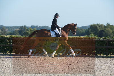 Blue Hors Dressuchampionat 2019 4års
Billeder fra stævnet
Nøgleord: kadri;sandra reinhard