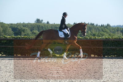 Blue Hors Dressuchampionat 2019 4års
Billeder fra stævnet
