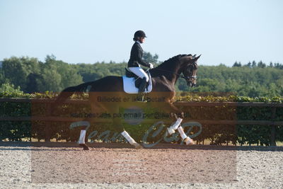 Blue Hors Dressuchampionat 2019 4års
Billeder fra stævnet
Nøgleord: loboss flaceur;janni rosenkjær brolund