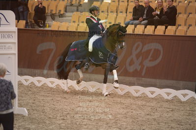 Dansk Rideforbunds Championats finaler 2019 dressur
Dansk Rideforbunds Championats finaler 2018
7 års
Nøgleord: hesselhøj donkey boy;jan møller christensen;lap of honour