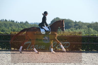 Blue Hors Dressuchampionat 2019 4års
Billeder fra stævnet
Nøgleord: kadri;sandra reinhard