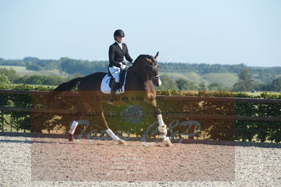 Blue Hors Dressuchampionat 2019 4års
Billeder fra stævnet
Nøgleord: loboss flaceur;janni rosenkjær brolund