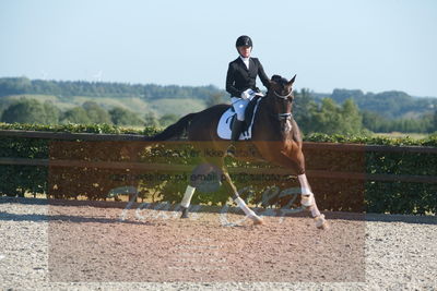 Blue Hors Dressuchampionat 2019 4års
Billeder fra stævnet
Nøgleord: loboss flaceur;janni rosenkjær brolund