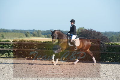 Blue Hors Dressuchampionat 2019 4års
Billeder fra stævnet
Nøgleord: loboss flaceur;janni rosenkjær brolund