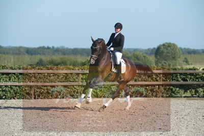 Blue Hors Dressuchampionat 2019 4års
Billeder fra stævnet
Nøgleord: loboss flaceur;janni rosenkjær brolund