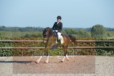 Blue Hors Dressuchampionat 2019 4års
Billeder fra stævnet
