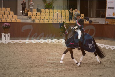 Dansk Rideforbunds Championats finaler 2019 dressur
Dansk Rideforbunds Championats finaler 2018
7 års
Nøgleord: hesselhøj donkey boy;jan møller christensen;lap of honour