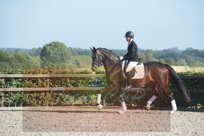 Blue Hors Dressuchampionat 2019 4års
Billeder fra stævnet
Nøgleord: sporty spice;lotte wiuff straarip