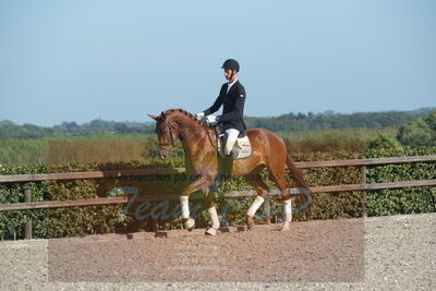 Blue Hors Dressuchampionat 2019 4års
Billeder fra stævnet
Nøgleord: dam's first class;adam sparlund olesen