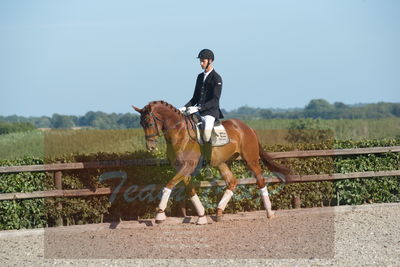 Blue Hors Dressuchampionat 2019 4års
Billeder fra stævnet
Nøgleord: dam's first class;adam sparlund olesen