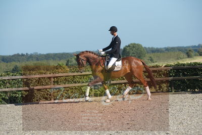 Blue Hors Dressuchampionat 2019 4års
Billeder fra stævnet
Nøgleord: dam's first class;adam sparlund olesen